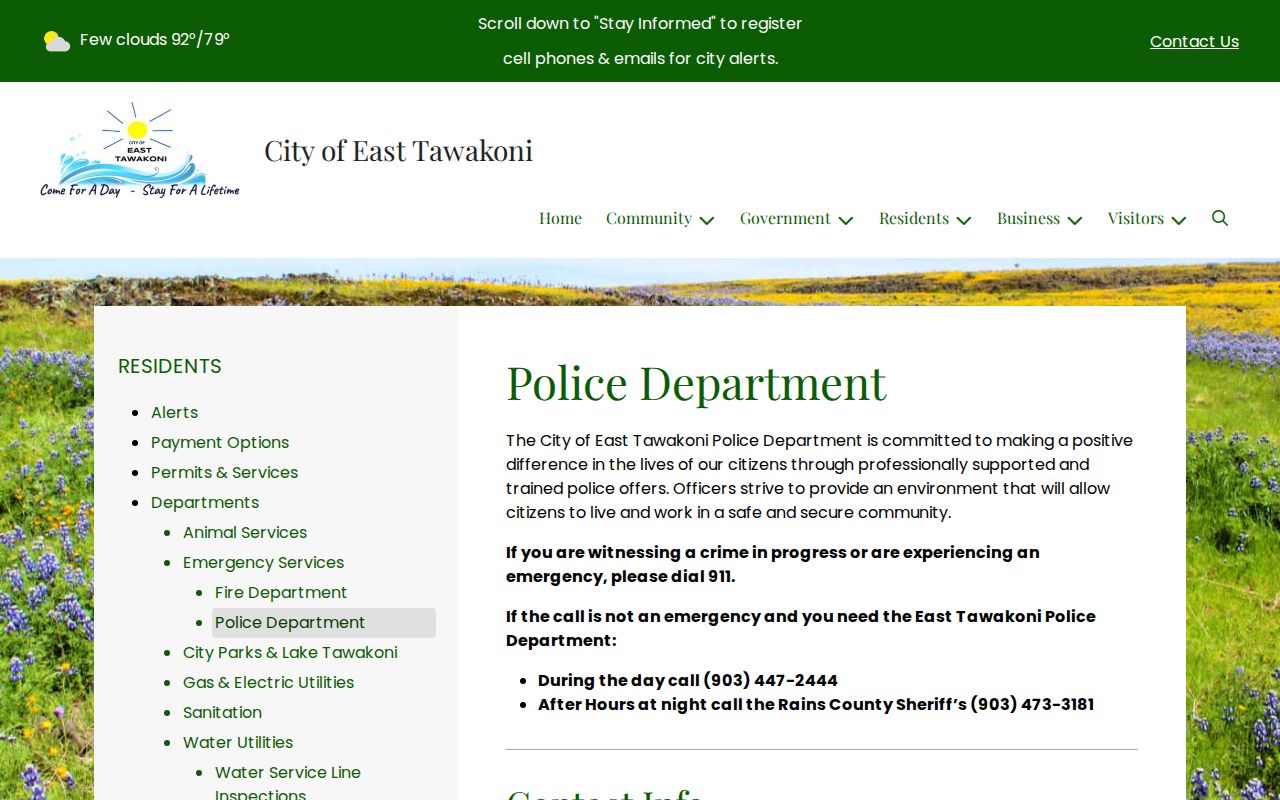 East Tawakoni criminal records police department source